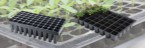 seedling-trays